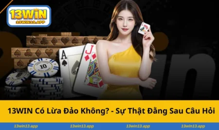 13win-co-lua-dao-khong-anh-dai-dien