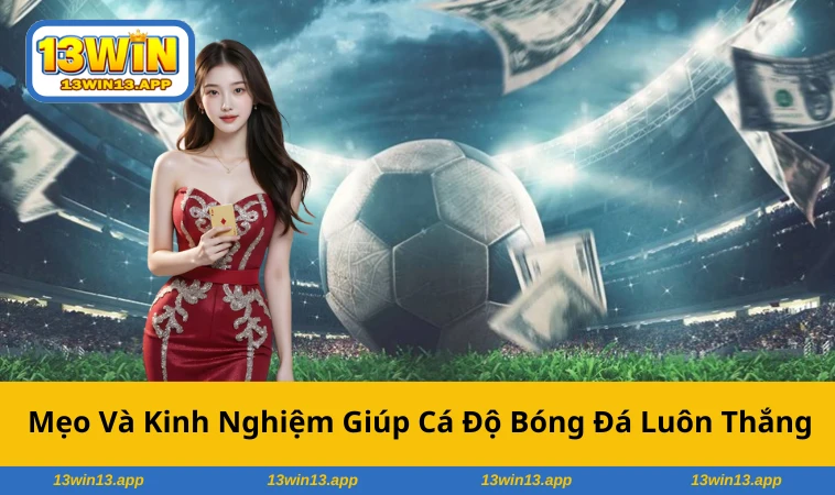 Theo dõi phân tích trận đấu, nắm bắt dữ liệu để tăng tỷ lệ thắng