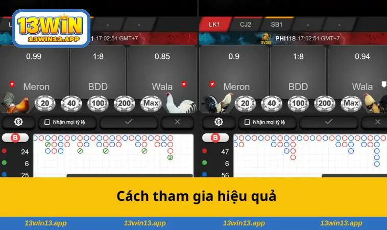 Cách tham gia hiệu quả