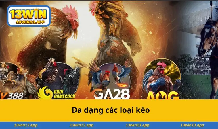 Đa dạng các loại kèo