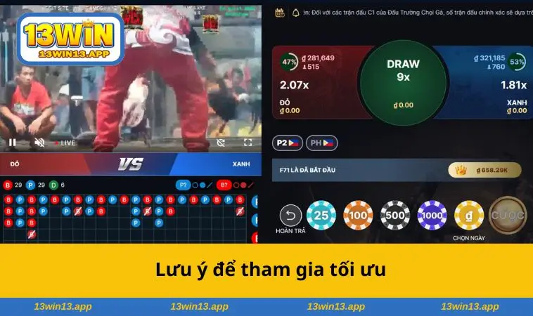 Lưu ý để tham gia tối ưu