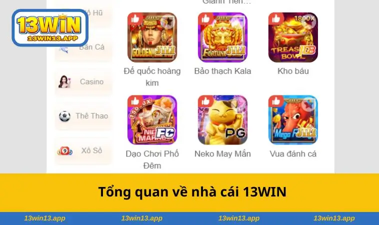Tổng quan về nhà cái 13WIN